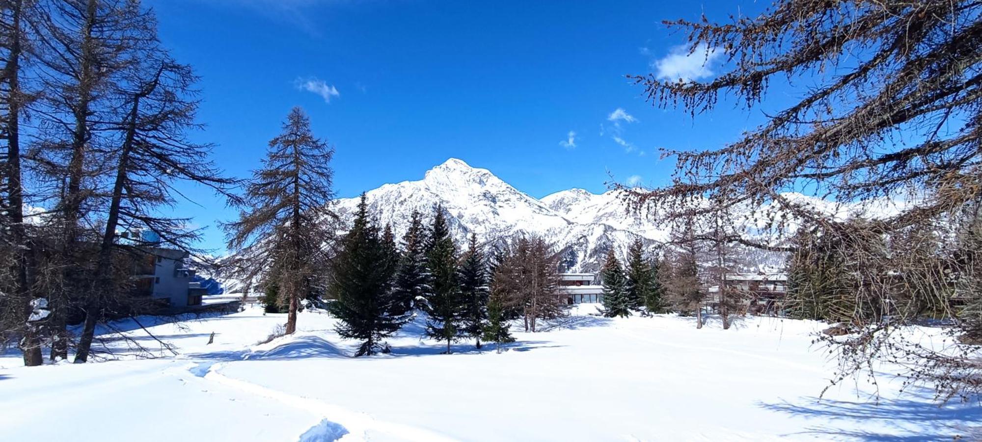 Ski Apartment Sellette San Sicario Alto Sansicario Torinese Exterior foto